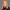 Josefin Grönvall